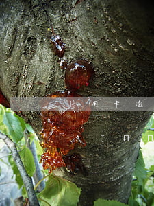 信用卡逾期多久會凍結(jié)賬戶(逾期久了會凍結(jié)銀行卡嗎)