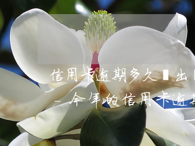 信用卡逾期多久會出現(xiàn)違約金-今年的信用卡逾期有什么處理