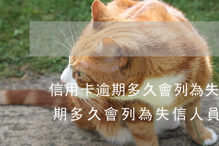 信用卡逾期多久會列為失信人員-信用卡逾期多久會列為失信人員名單
