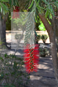 信用卡逾期多久會判決