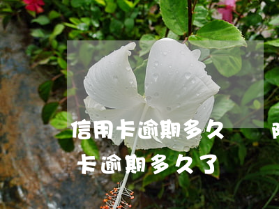 信用卡逾期多久會刪除逾期記錄(你們的信用卡逾期多久了)