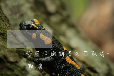 信用卡逾期多久會取消-信用卡逾期多久會取消