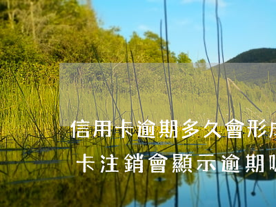 信用卡逾期多久會形成呆帳(呆賬還清后信用卡注銷會顯示逾期嗎)