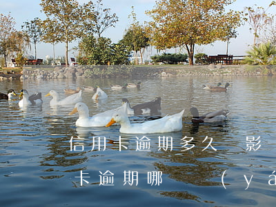 信用卡逾期多久會影響房貸(房貸逾期與信用卡逾期哪個嚴(yán)重)