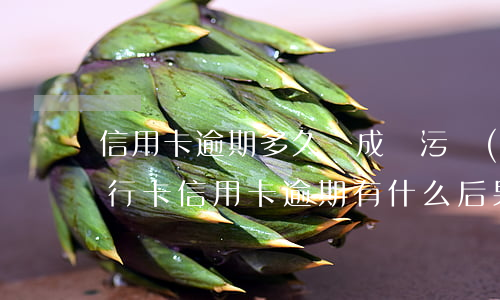信用卡逾期多久會成為污點(diǎn)(銀行卡信用卡逾期有什么后果)