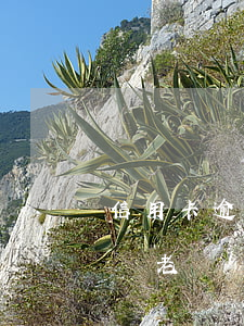 信用卡逾期多久會成老賴(信用卡逾期多久成為老賴)