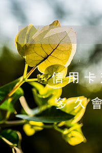 信用卡逾期多久會打電話催款-信用卡逾期多久會打電話催款還款