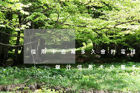 信用卡逾期多久會打電話給家人-廣發(fā)銀行信用卡逾期多久會打電話給家人