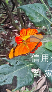 信用卡逾期多久會找到家里來(逾期會不會找到家)