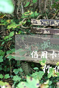 信用卡逾期多久會拍賣資產(chǎn)(欠銀行信用卡會強(qiáng)行拍賣)