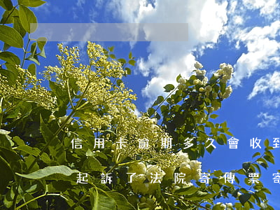 信用卡逾期多久會收到傳票(欠信用卡逾期被起訴了 法院寄傳票寄到哪里)