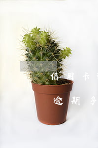 信用卡逾期多久會有什么不良記錄-信用卡逾期多久會有什么不良記錄呢