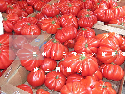 信用卡逾期多久會有催收(信用卡逾期幾個月會上門催收)