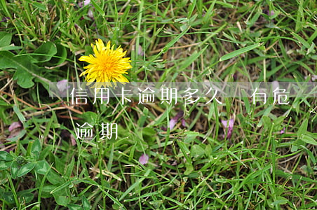 信用卡逾期多久會有危險記錄(有多少信用卡逾期)