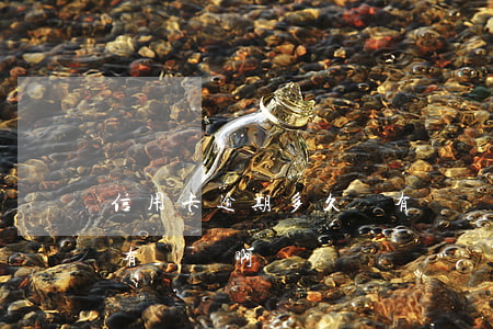 信用卡逾期多久會有報應(信用卡逾期多久會有報應啊)