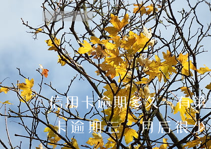信用卡逾期多久會有第三方催收(為什么信用卡逾期三個月后很少催收電話)