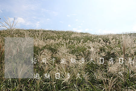 信用卡逾期多久會有罰息(你們的信用卡最長逾期過多久)
