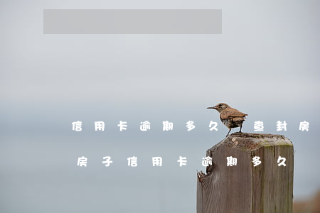 信用卡逾期多久會查封房產(chǎn)(有房子信用卡逾期多久會被起訴)