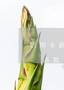 信用卡逾期多久會清除征信(信用卡逾期多久會清除征信報告)