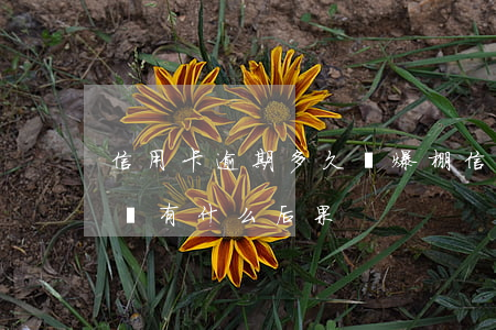 信用卡逾期多久會爆棚(信用卡每個月都逾期會有什么后果)