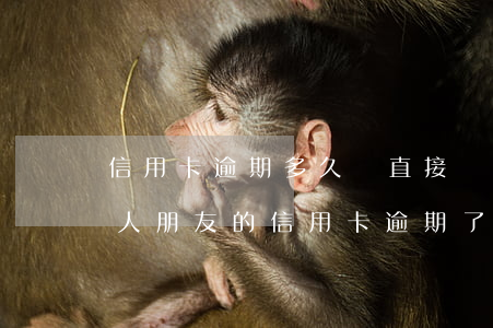信用卡逾期多久會直接聯(lián)系家人(朋友的信用卡逾期了聯(lián)系人受牽連嗎)