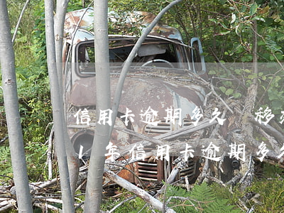 信用卡逾期多久會移交風險管理部門(2021年信用卡逾期多久會被起訴)
