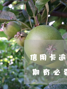 信用卡逾期多久會第三方催收(對于信用卡逾期有必要和第三方催收溝通嗎)