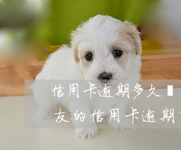 信用卡逾期多久會聯(lián)系單位(朋友的信用卡逾期了聯(lián)系人受牽連嗎)