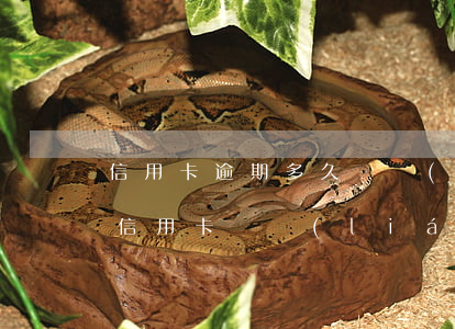 信用卡逾期多久會聯(lián)系家屬(欠信用卡會聯(lián)系家人嗎)