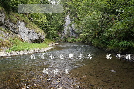 信用卡逾期多久會被停用-信用卡逾期多久會被停用?