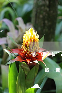 信用卡逾期多久會被告失信(信用卡逾期多久會被告失信)