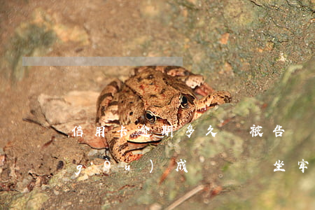 信用卡逾期多久會被告詐騙(信用卡逾期構(gòu)成詐騙會坐牢嗎)