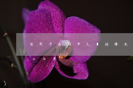 信用卡逾期多久會被曝光(信用卡逾期了有什么后果)