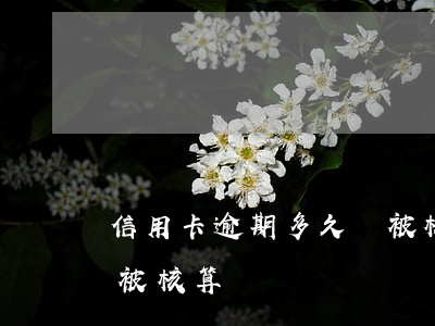 信用卡逾期多久會被核算(信用卡逾期多久會被核算)