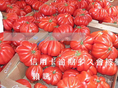 信用卡逾期多久會被變成老賴(逾期了就是老賴嗎)