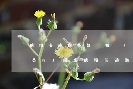 信用卡逾期多久會被財(cái)產(chǎn)保全(信用卡逾期多久會被財(cái)產(chǎn)保全)