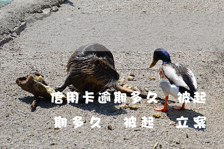 信用卡逾期多久會被起訴2019(信用卡逾期多久會被起訴立案)