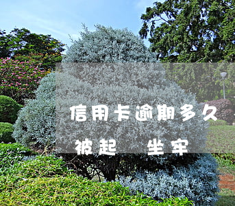 信用卡逾期多久會被起訴(信用卡逾期多久會被起訴坐牢)