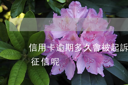 “信用卡逾期多久會被起訴”（信用卡逾期幾天上征信呢）
