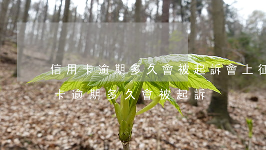 信用卡逾期多久會被起訴會上征信嗎-“信用卡逾期多久會被起訴”