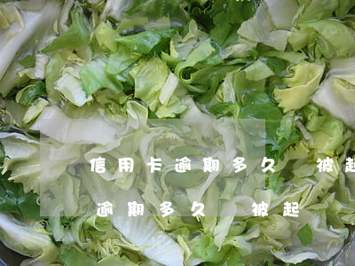 信用卡逾期多久會被起訴罰款多少-信用卡逾期多久會被起訴罰款多少呢