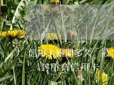 信用卡逾期多久會被銀行封了(其他銀行逾期會封所有信用卡)