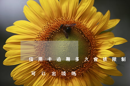 信用卡逾期多久會被限制出境(逾期時間長了,可以出境嗎)