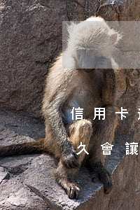 信用卡逾期多久會讓全額還款(信用卡逾期多久會讓全額還款)