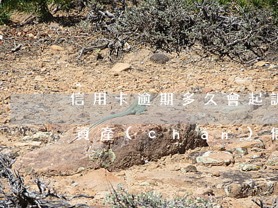 信用卡逾期多久會起訴凍結(jié)個人資產(chǎn)(信用卡逾期了銀行卡會凍結(jié)嗎)