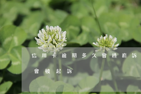 信用卡逾期多久會過追訴期(“信用卡逾期多久會被起訴”)