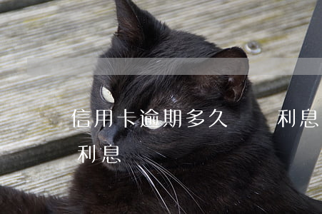 信用卡逾期多久會長利息(信用卡逾期要多少利息)