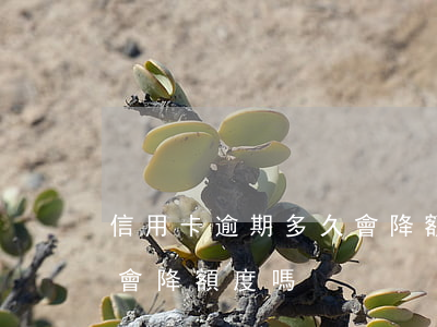 信用卡逾期多久會降額度嗎(信用卡逾期多久會降額度嗎)