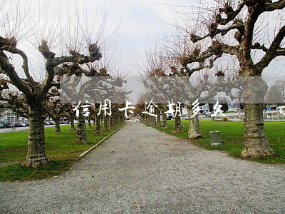 信用卡逾期多久會顯示呆賬(逾期多久是呆賬)