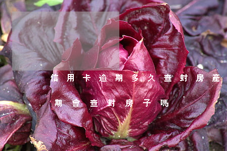 信用卡逾期多久查封房產(chǎn)證(逾期會查封房子嗎)